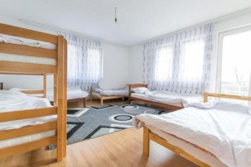 Dedushi Guesthouse &Wood Cabins-Camping Place Gusinje Extérieur photo