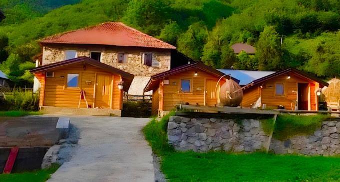 Dedushi Guesthouse &Wood Cabins-Camping Place Gusinje Extérieur photo